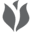 favicon-32x32